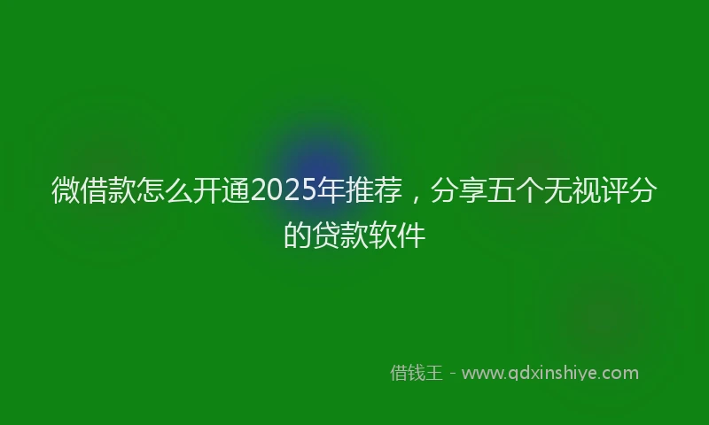 微借款怎么开通2025年推荐，分享五个无视评分的贷款软件