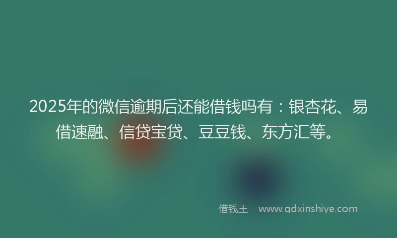 2025年的微信逾期后还能借钱吗有：银杏花、易借速融、信贷宝贷、豆豆钱、东方汇等。