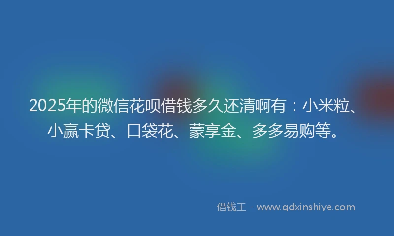 2025年的微信花呗借钱多久还清啊有：小米粒、小赢卡贷、口袋花、蒙享金、多多易购等。