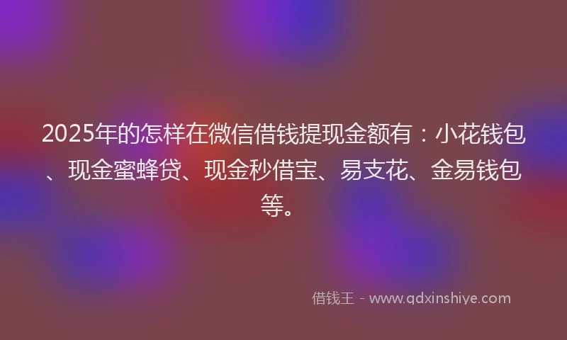 2025年的怎样在微信借钱提现金额有：小花钱包、现金蜜蜂贷、现金秒借宝、易支花、金易钱包等。
