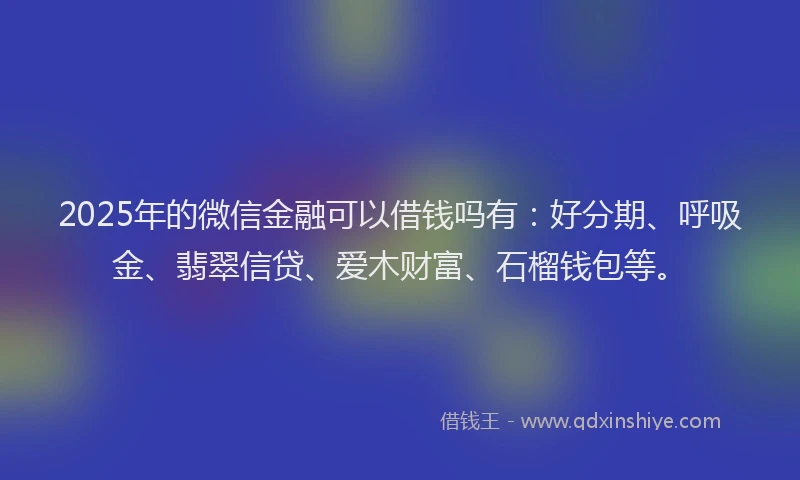2025年的微信金融可以借钱吗有：好分期、呼吸金、翡翠信贷、爱木财富、石榴钱包等。