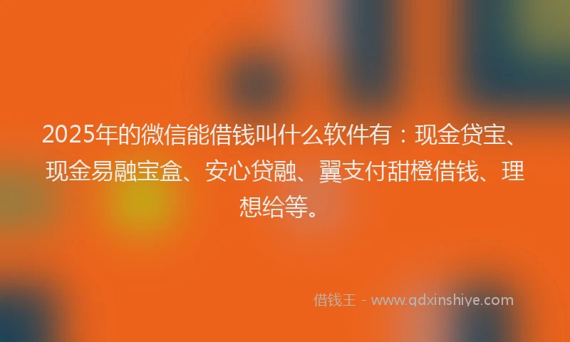 2025年的微信能借钱叫什么软件有：现金贷宝、现金易融宝盒、安心贷融、翼支付甜橙借钱、理想给等。