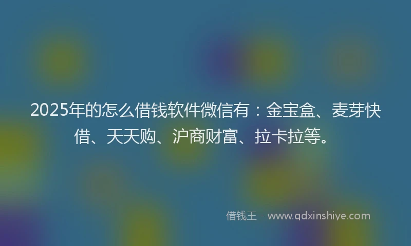 2025年的怎么借钱软件微信有：金宝盒、麦芽快借、天天购、沪商财富、拉卡拉等。