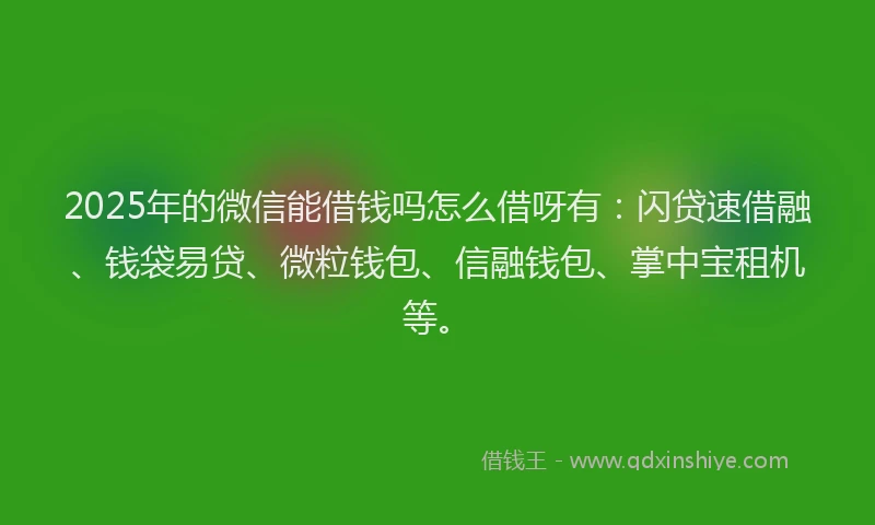 2025年的微信能借钱吗怎么借呀有：闪贷速借融、钱袋易贷、微粒钱包、信融钱包、掌中宝租机等。