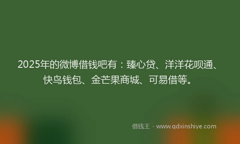 2025年的微博借钱吧有：臻心贷、洋洋花呗通、快鸟钱包、金芒果商城、可易借等。