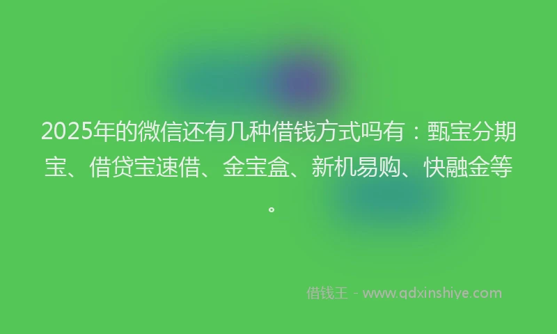 2025年的微信还有几种借钱方式吗有：甄宝分期宝、借贷宝速借、金宝盒、新机易购、快融金等。
