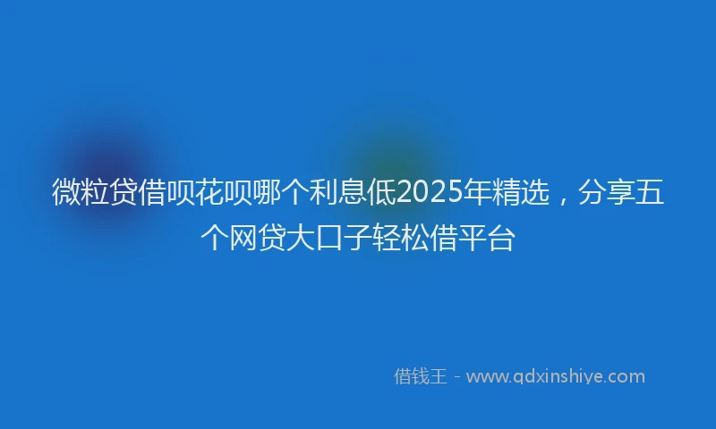 微粒贷借呗花呗哪个利息低2025年精选，分享五个网贷大口子轻松借平台