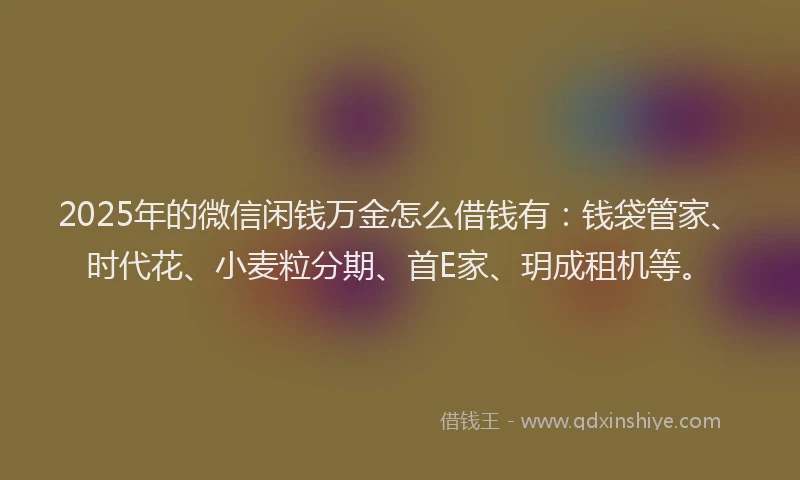 2025年的微信闲钱万金怎么借钱有：钱袋管家、时代花、小麦粒分期、首E家、玥成租机等。