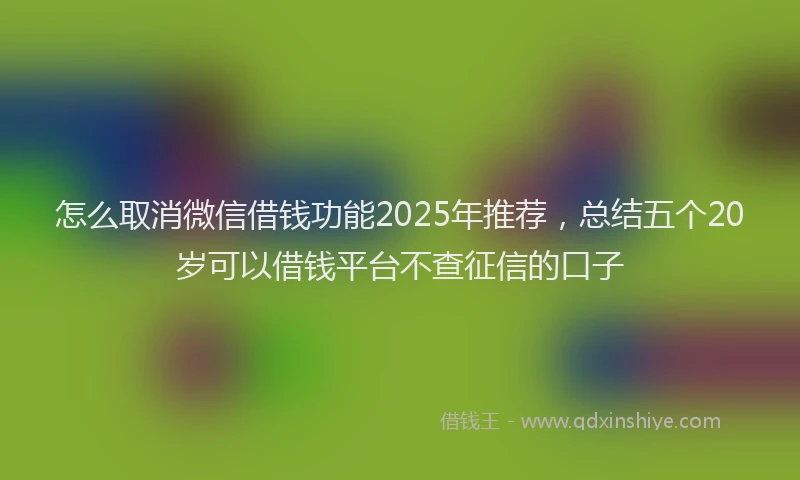 怎么取消微信借钱功能2025年推荐，总结五个20岁可以借钱平台不查征信的口子