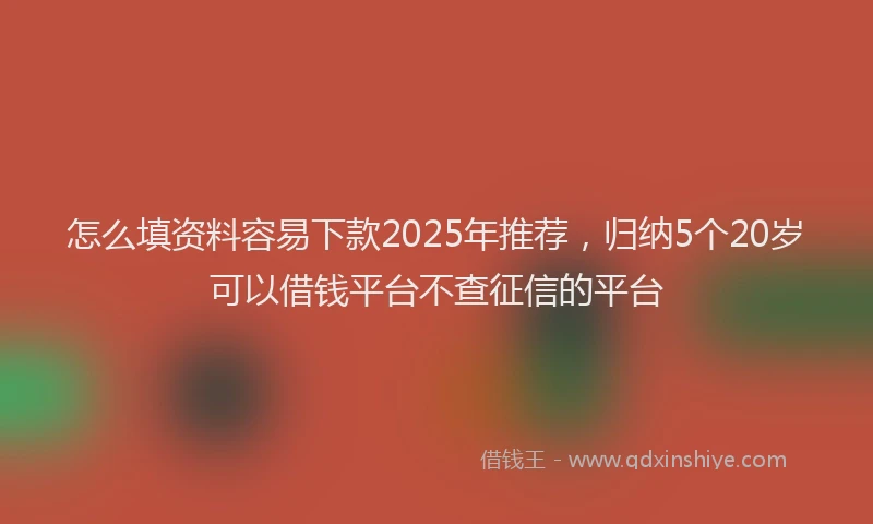 怎么填资料容易下款2025年推荐，归纳5个20岁可以借钱平台不查征信的平台