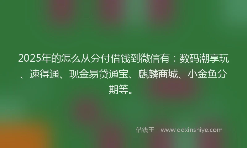 2025年的怎么从分付借钱到微信有：数码潮享玩、速得通、现金易贷通宝、麒麟商城、小金鱼分期等。