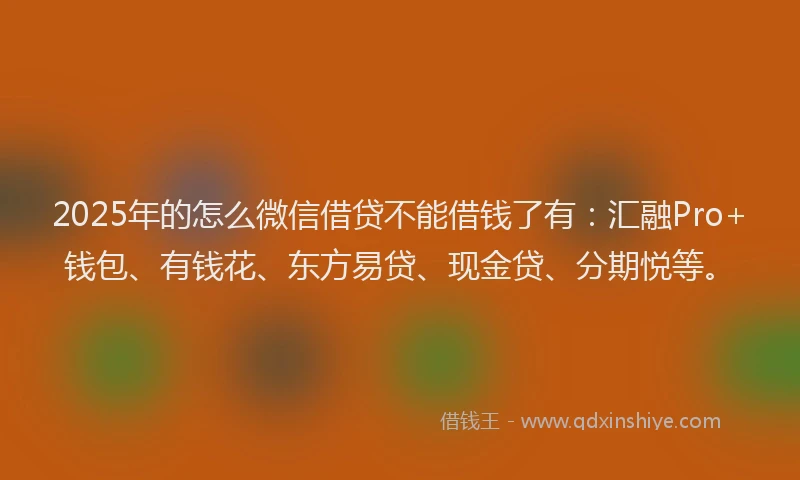 2025年的怎么微信借贷不能借钱了有：汇融Pro+钱包、有钱花、东方易贷、现金贷、分期悦等。