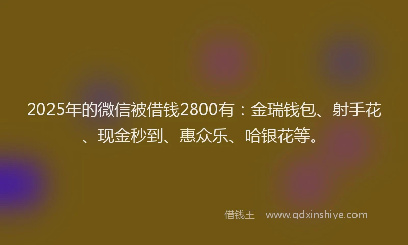 2025年的微信被借钱2800有：金瑞钱包、射手花、现金秒到、惠众乐、哈银花等。