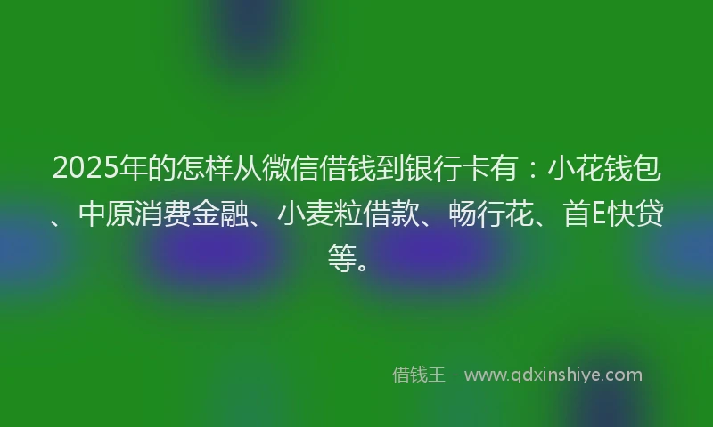 2025年的怎样从微信借钱到银行卡有：小花钱包、中原消费金融、小麦粒借款、畅行花、首E快贷等。