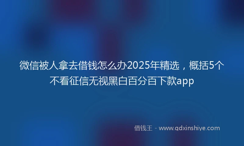 微信被人拿去借钱怎么办2025年精选，概括5个不看征信无视黑白百分百下款app