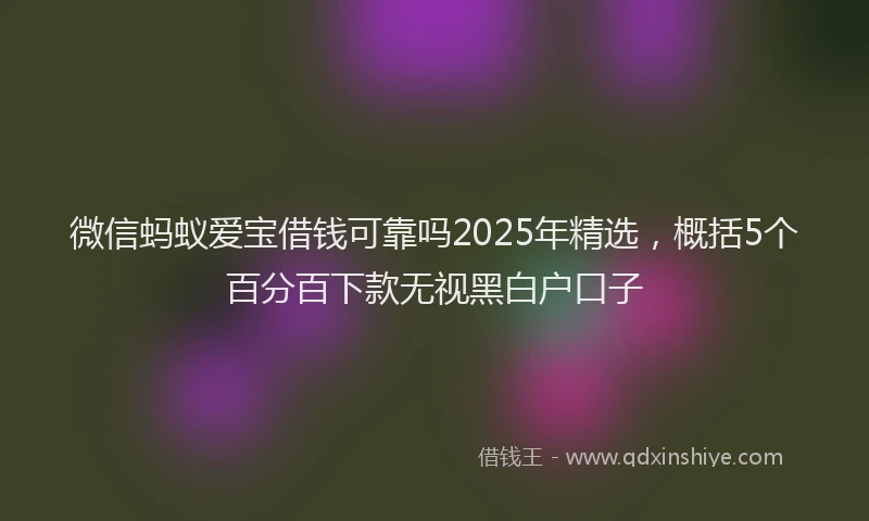 微信蚂蚁爱宝借钱可靠吗2025年精选，概括5个百分百下款无视黑白户口子