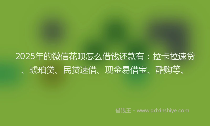 2025年的微信花呗怎么借钱还款有：拉卡拉速贷、琥珀贷、民贷速借、现金易借宝、酷购等。