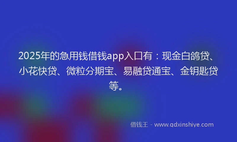 2025年的急用钱借钱app入口有：现金白鸽贷、小花快贷、微粒分期宝、易融贷通宝、金钥匙贷等。