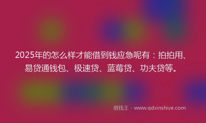 2025年的怎么样才能借到钱应急呢有：拍拍用、易贷通钱包、极速贷、蓝莓贷、功夫贷等。