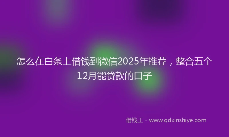 怎么在白条上借钱到微信2025年推荐，整合五个12月能贷款的口子