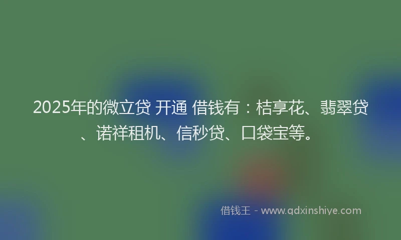 2025年的微立贷 开通 借钱有：桔享花、翡翠贷、诺祥租机、信秒贷、口袋宝等。