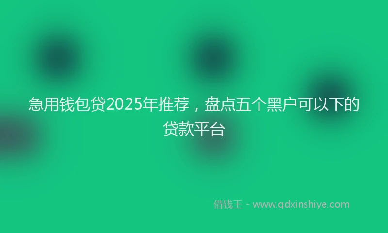 急用钱包贷2025年推荐，盘点五个黑户可以下的贷款平台