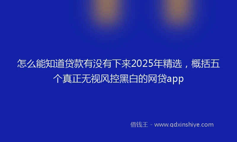 怎么能知道贷款有没有下来2025年精选，概括五个真正无视风控黑白的网贷app