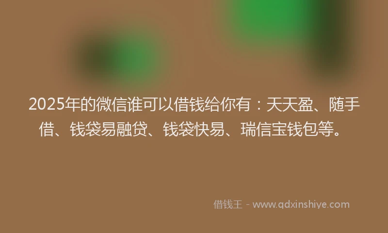 2025年的微信谁可以借钱给你有：天天盈、随手借、钱袋易融贷、钱袋快易、瑞信宝钱包等。