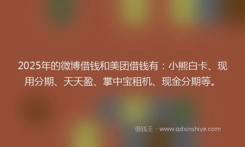 2025年的微博借钱和美团借钱有：小熊白卡、现用分期、天天盈、掌中宝租机、现金分期等。