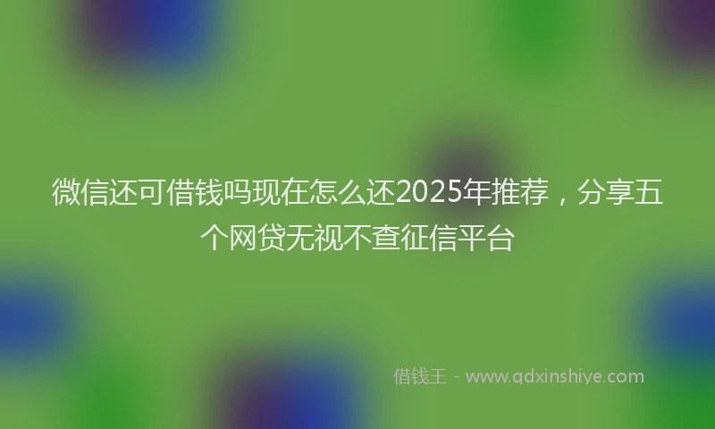 微信还可借钱吗现在怎么还2025年推荐，分享五个网贷无视不查征信平台