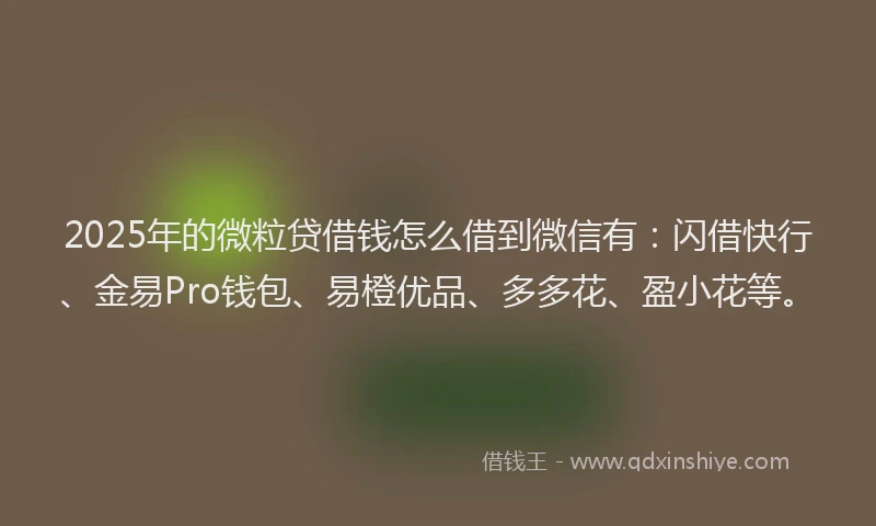 2025年的微粒贷借钱怎么借到微信有：闪借快行、金易Pro钱包、易橙优品、多多花、盈小花等。