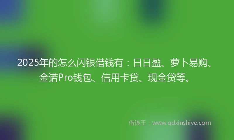 2025年的怎么闪银借钱有：日日盈、萝卜易购、金诺Pro钱包、信用卡贷、现金贷等。