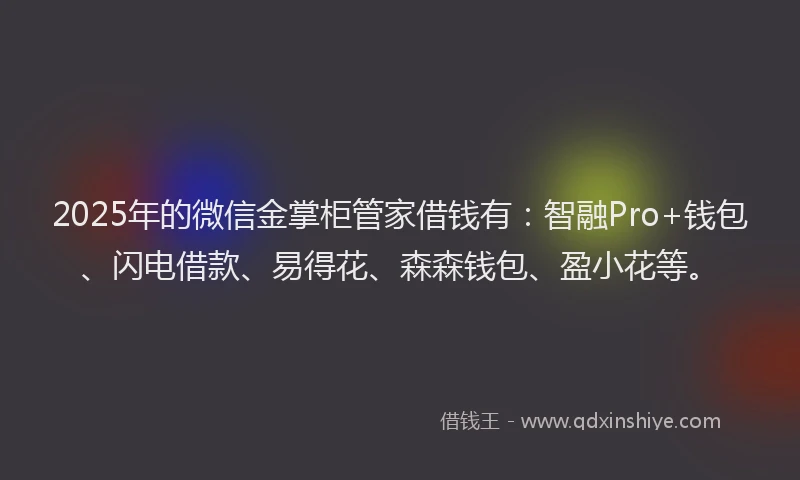 2025年的微信金掌柜管家借钱有：智融Pro+钱包、闪电借款、易得花、森森钱包、盈小花等。