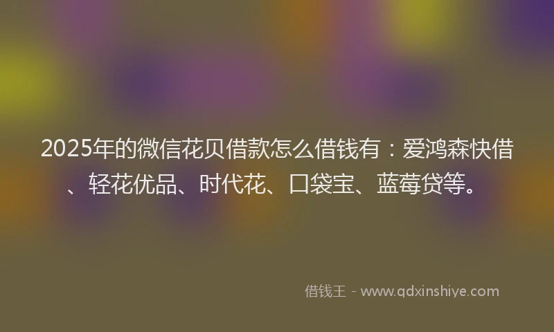 2025年的微信花贝借款怎么借钱有：爱鸿森快借、轻花优品、时代花、口袋宝、蓝莓贷等。