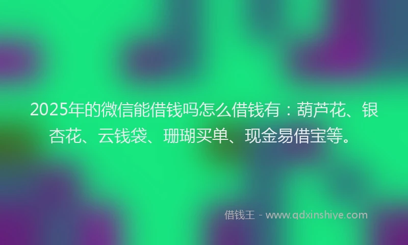 2025年的微信能借钱吗怎么借钱有：葫芦花、银杏花、云钱袋、珊瑚买单、现金易借宝等。