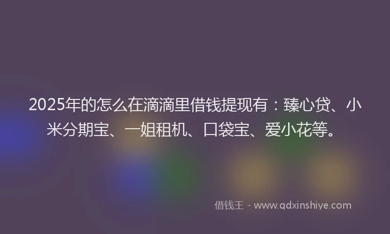 2025年的怎么在滴滴里借钱提现有：臻心贷、小米分期宝、一姐租机、口袋宝、爱小花等。