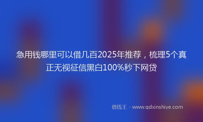 急用钱哪里可以借几百2025年推荐，梳理5个真正无视征信黑白100%秒下网贷