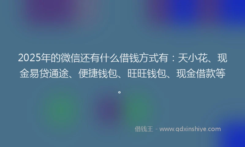 2025年的微信还有什么借钱方式有：天小花、现金易贷通途、便捷钱包、旺旺钱包、现金借款等。