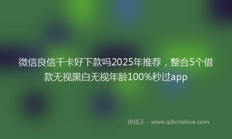 微信良信千卡好下款吗2025年推荐，整合5个借款无视黑白无视年龄100%秒过app