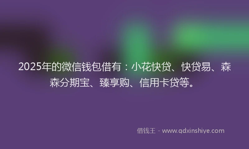 2025年的微信钱包借有：小花快贷、快贷易、森森分期宝、臻享购、信用卡贷等。