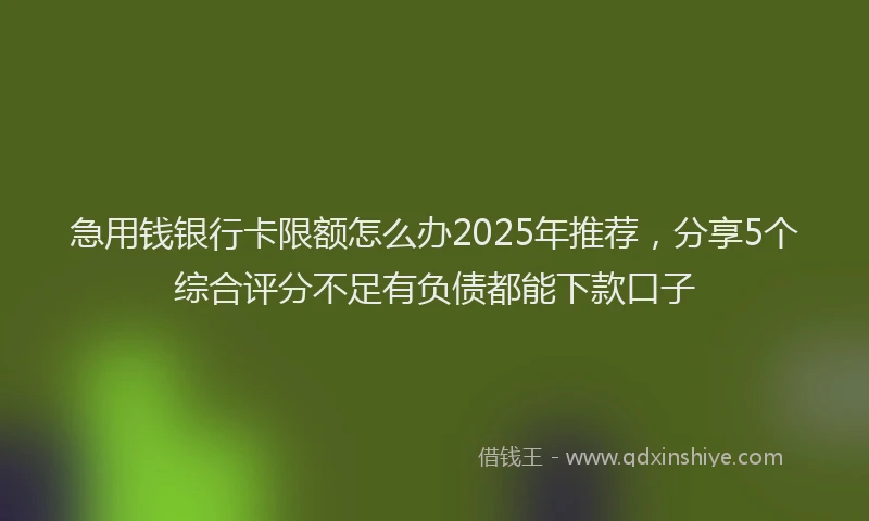 急用钱银行卡限额怎么办2025年推荐，分享5个综合评分不足有负债都能下款口子