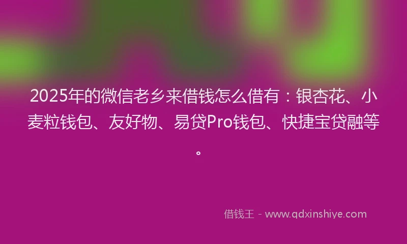 2025年的微信老乡来借钱怎么借有：银杏花、小麦粒钱包、友好物、易贷Pro钱包、快捷宝贷融等。