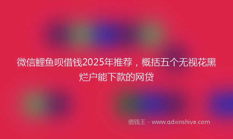 微信鲤鱼呗借钱2025年推荐，概括五个无视花黑烂户能下款的网贷