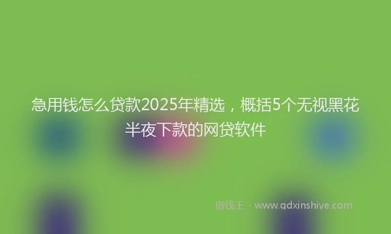 急用钱怎么贷款2025年精选，概括5个无视黑花半夜下款的网贷软件
