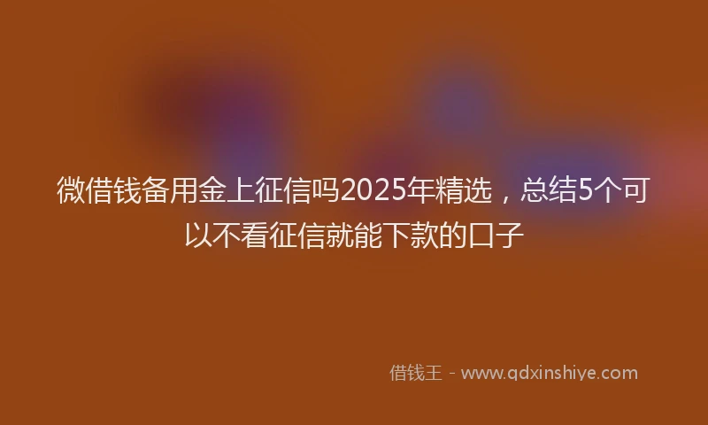 微借钱备用金上征信吗2025年精选，总结5个可以不看征信就能下款的口子