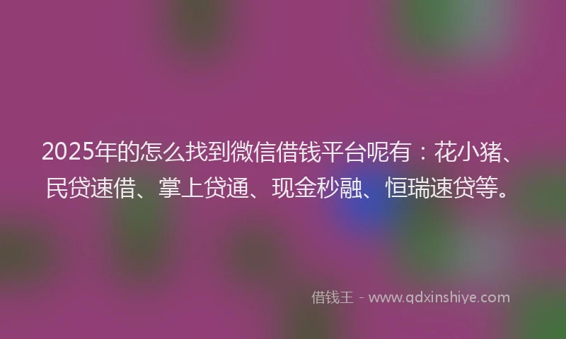 2025年的怎么找到微信借钱平台呢有：花小猪、民贷速借、掌上贷通、现金秒融、恒瑞速贷等。