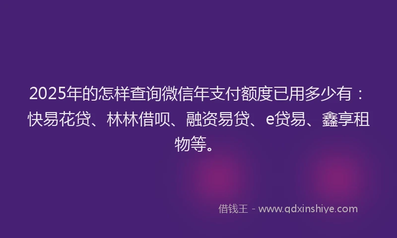 2025年的怎样查询微信年支付额度已用多少有：快易花贷、林林借呗、融资易贷、e贷易、鑫享租物等。