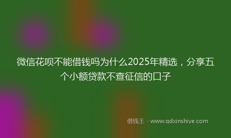 微信花呗不能借钱吗为什么2025年精选，分享五个小额贷款不查征信的口子