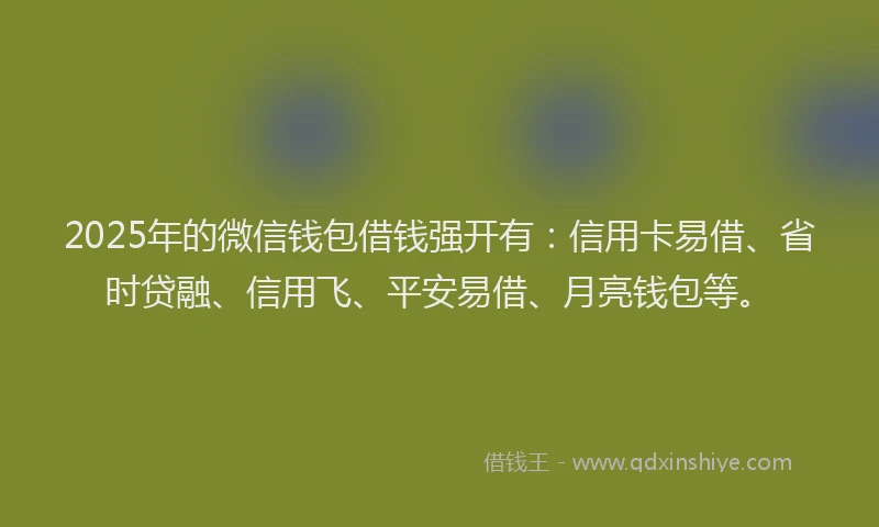 2025年的微信钱包借钱强开有：信用卡易借、省时贷融、信用飞、平安易借、月亮钱包等。