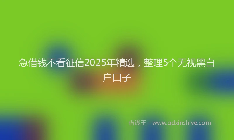急借钱不看征信2025年精选，整理5个无视黑白户口子
